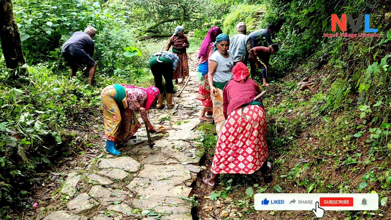 Village Life In Nepal | Sanitation Program By Village People | Lifestyles Vlog | Nepali Village Life