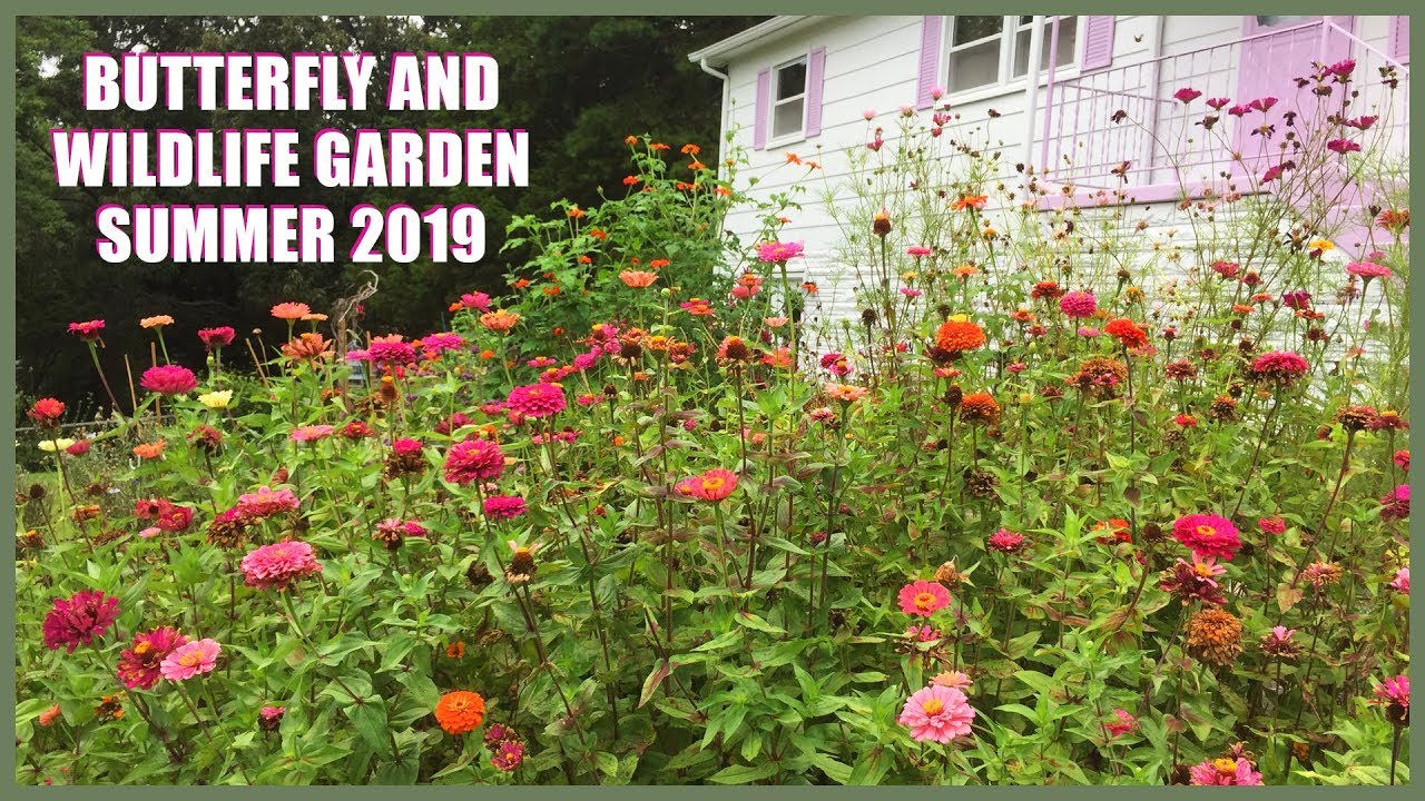 Peaceful Butterfly and Bee Garden in East Tennessee || Pollinator Garden