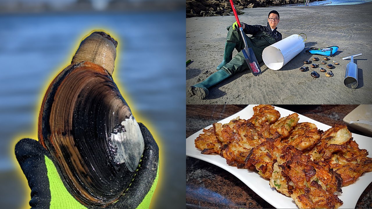 How to get DEEPER | Horseneck/Gaper Clams | CATCH AND COOK Clam Fritters