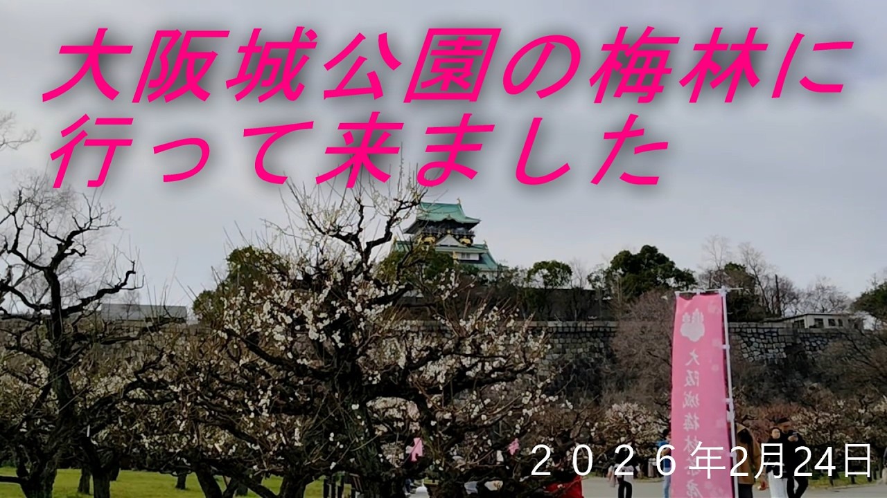 大阪城公園の梅林とみたらし団子