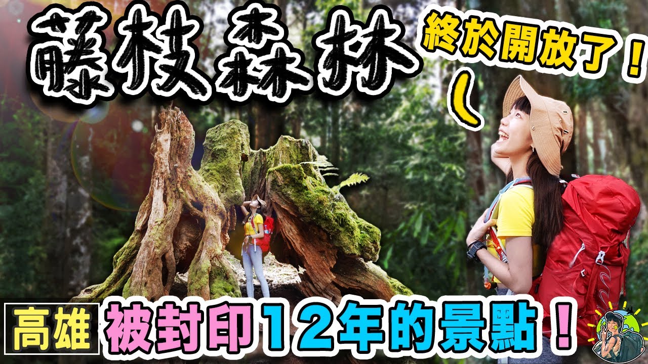 12年的等待！開箱超神秘的藤枝森林遊樂區｜高雄景點