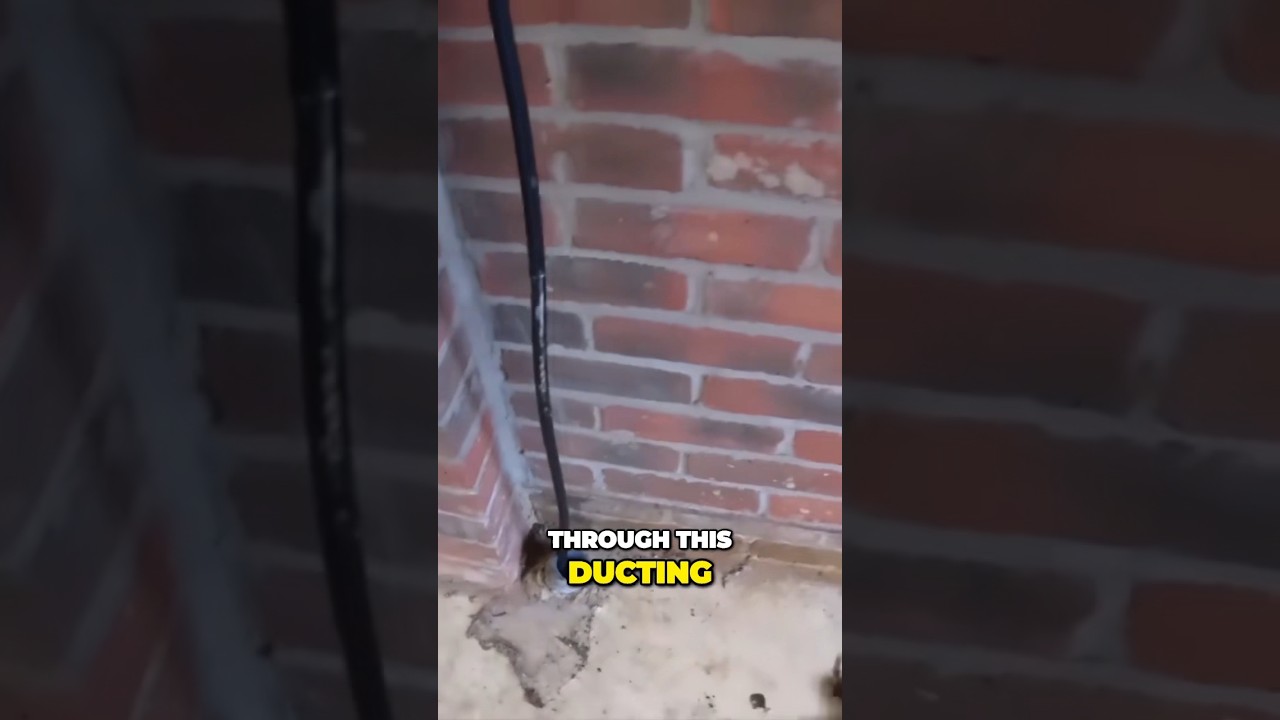 NIGHTMARE cable route PART 1 #evcharger #electrician #cable