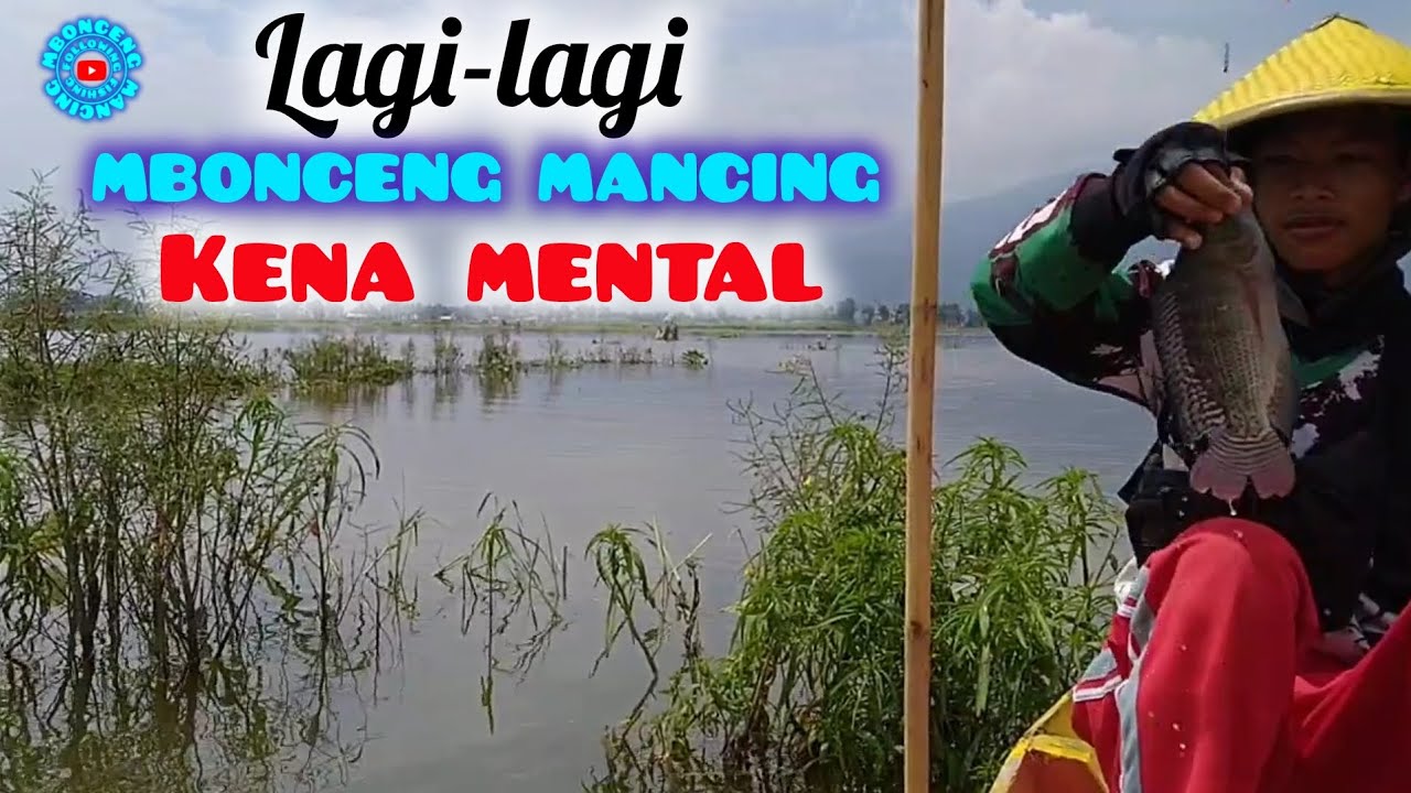 MBONCENG MANCING KENA MENTAL ‼️ MANCING RAWAPENING @mboncengmancing #37