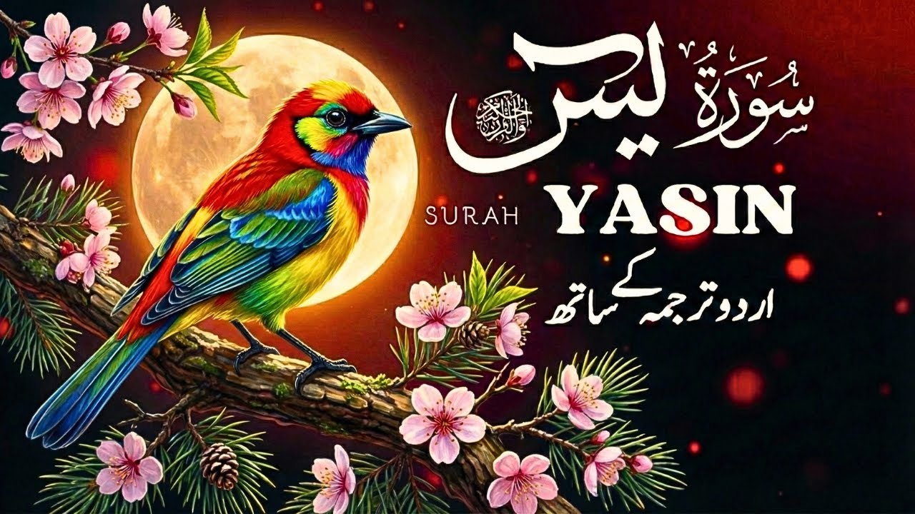 Surah Yaseen | Full Recitation With Urdu Translation | EP-124