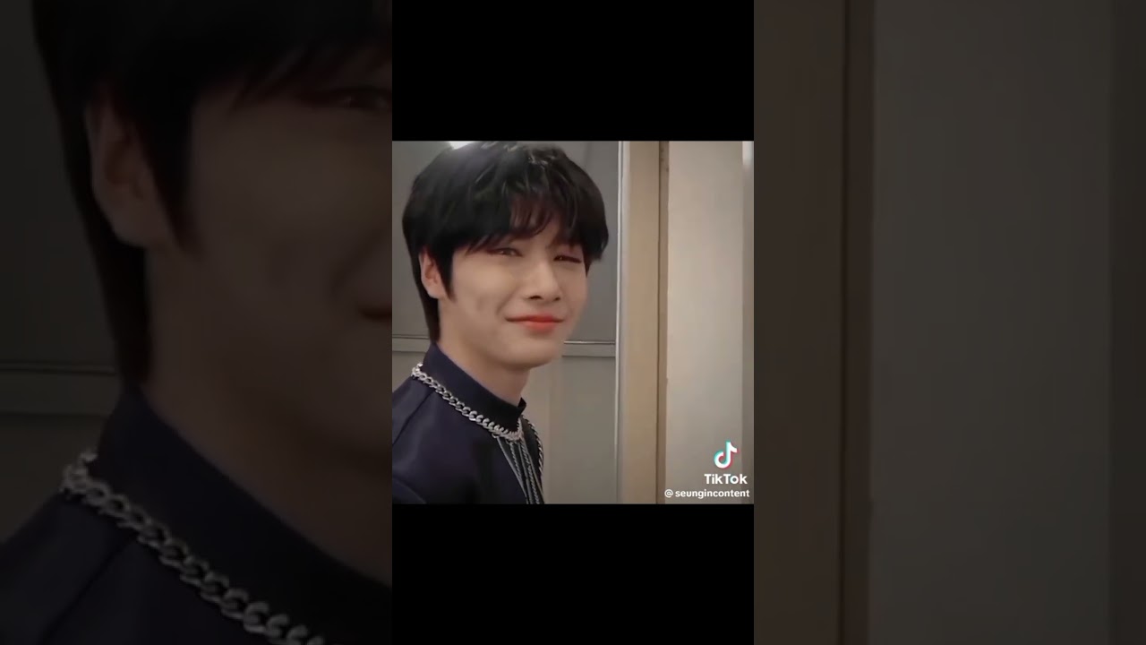 Stray kids SeungI.N(vocalracha or Seungmin and I.N/Jeongin) TikTok compilation (🌿)