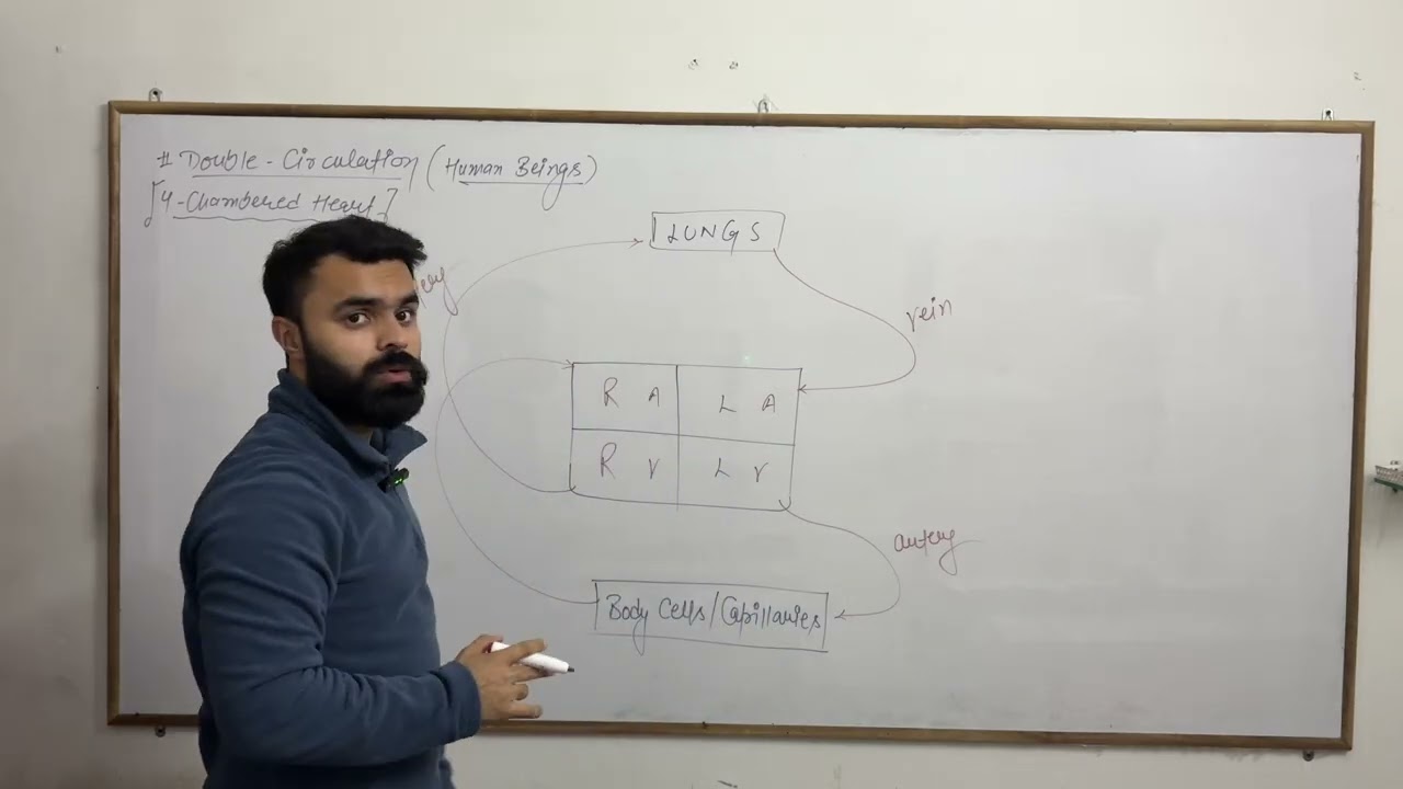 Tricks to remember || Double Circulation || Life Processes || class 10 || CBSE Board Exams