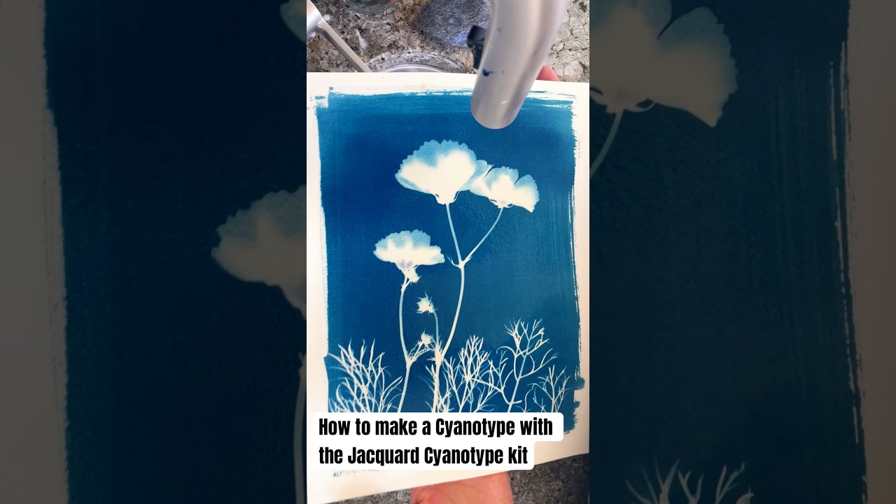 Как сделать цианотипию с помощью набора Jacquard Cyanotype Kit #cyanotype #jacquard @jacquardprod...