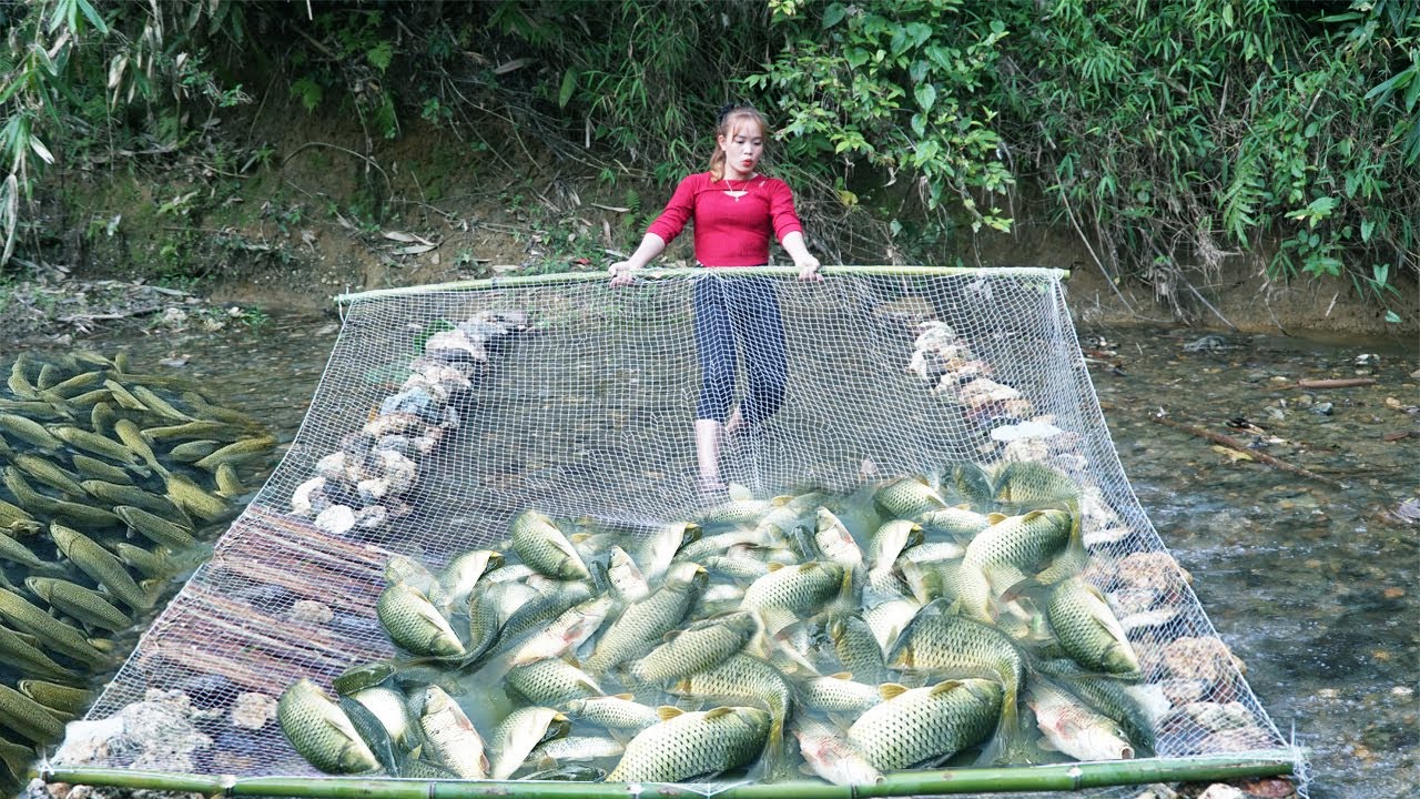 Incredible Fishing Technique Using Stones in the Stream / Harvesting A Lot Of Big Fish