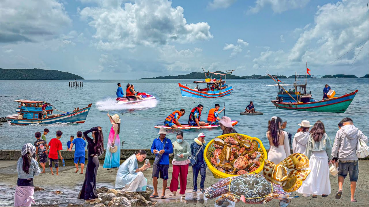Quá Đẹp Đảo Nam Du Kiên Giang | Hải Sản Đa Dạng Người Dân Dễ Mến