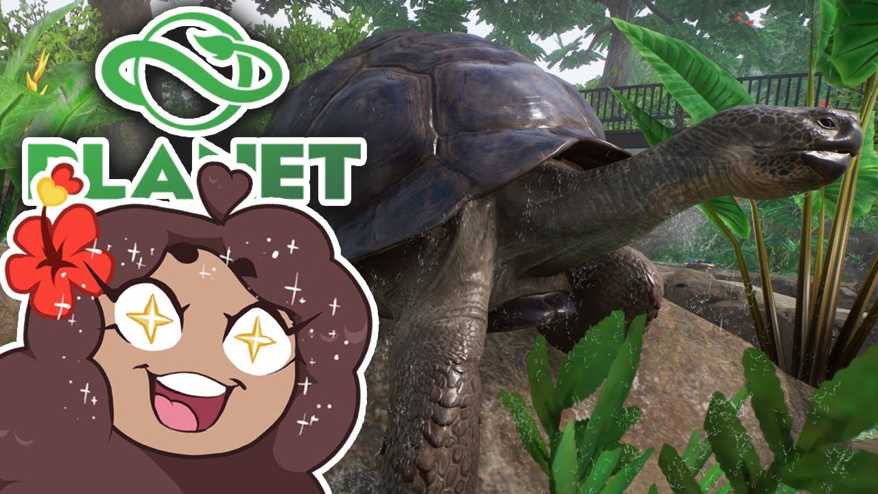 Crawling in Caves with CRANKY Tortoises!! 🐼 Zoodesia Zoo • #70