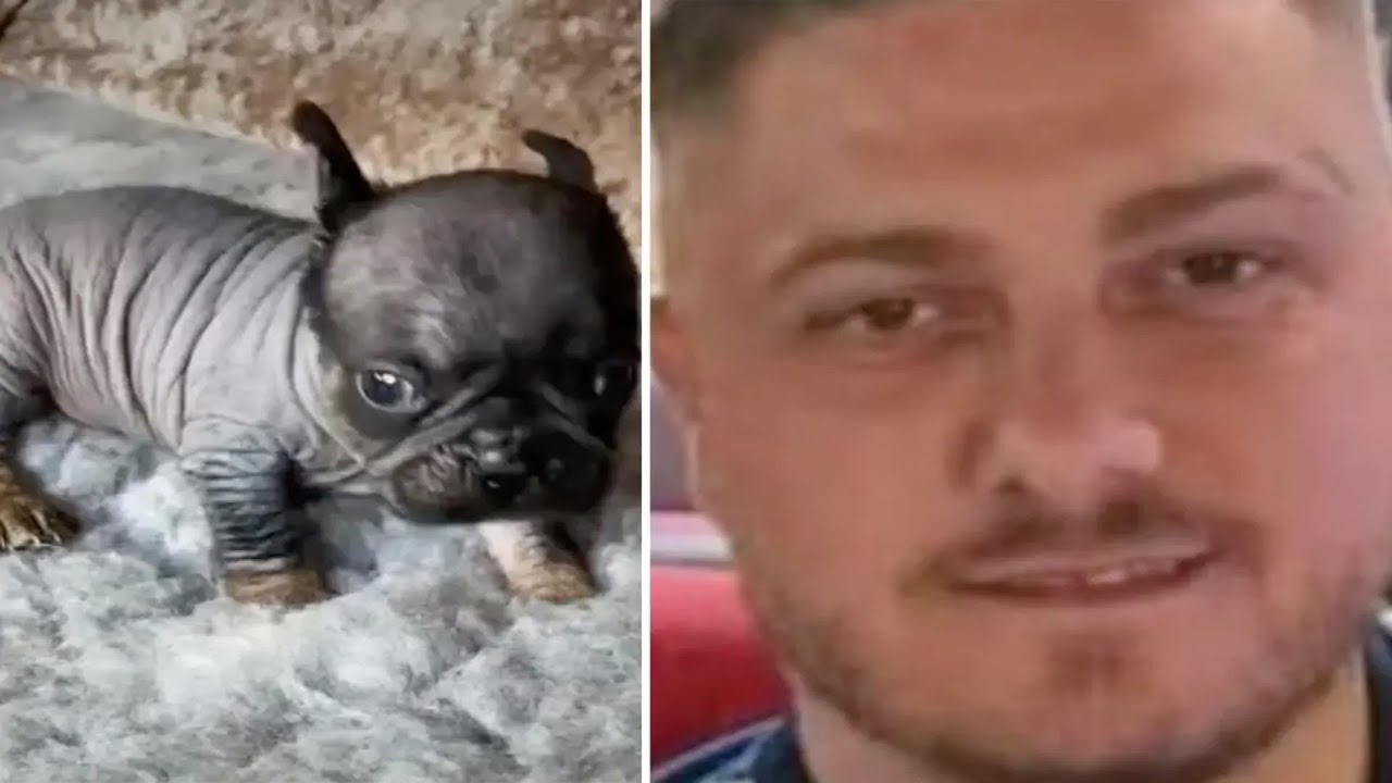 Lunatic &lsquo;Dr. DNA&rsquo; gloats of new &lsquo;designer&rsquo; dog breed creation he plans to sell around the world