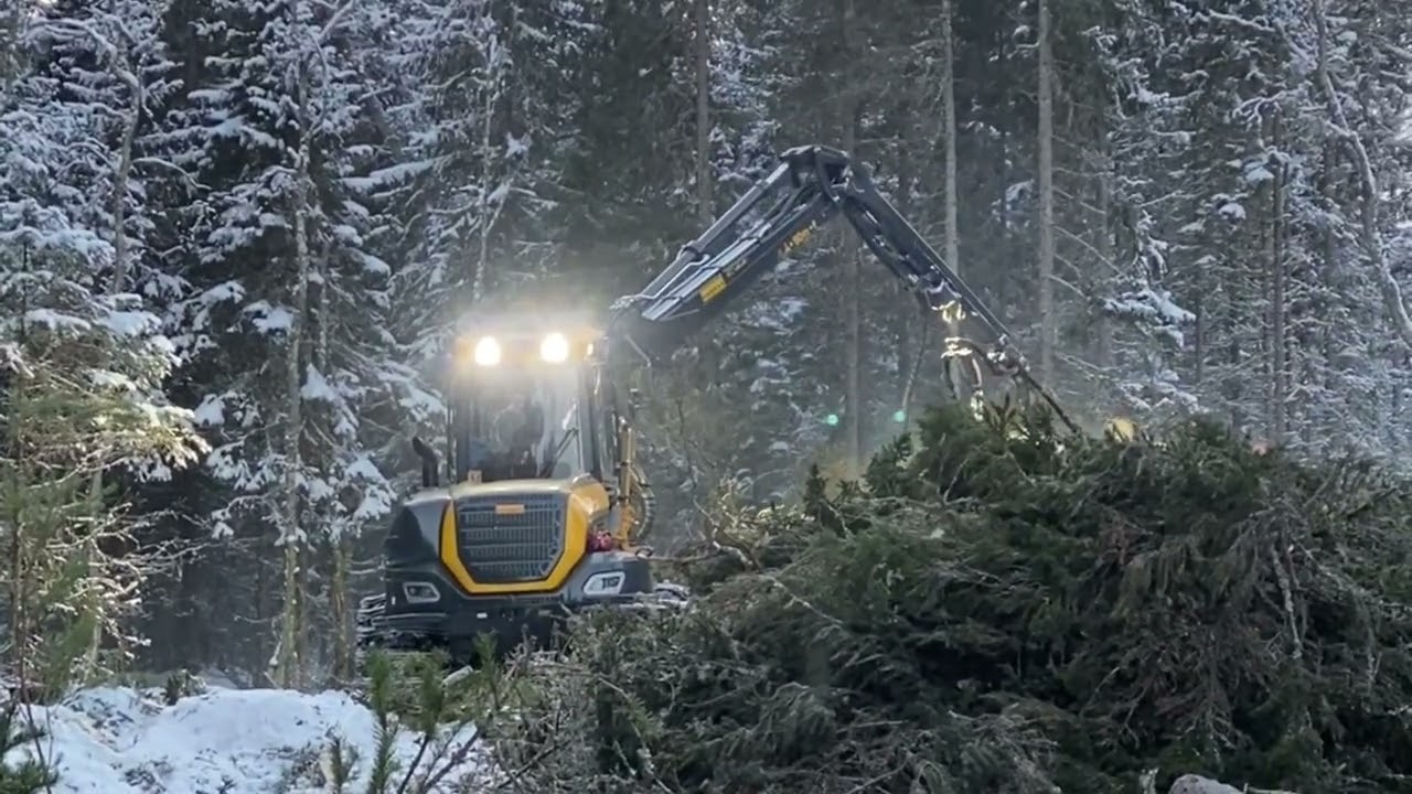 Ponsse Cobra in Final Felling