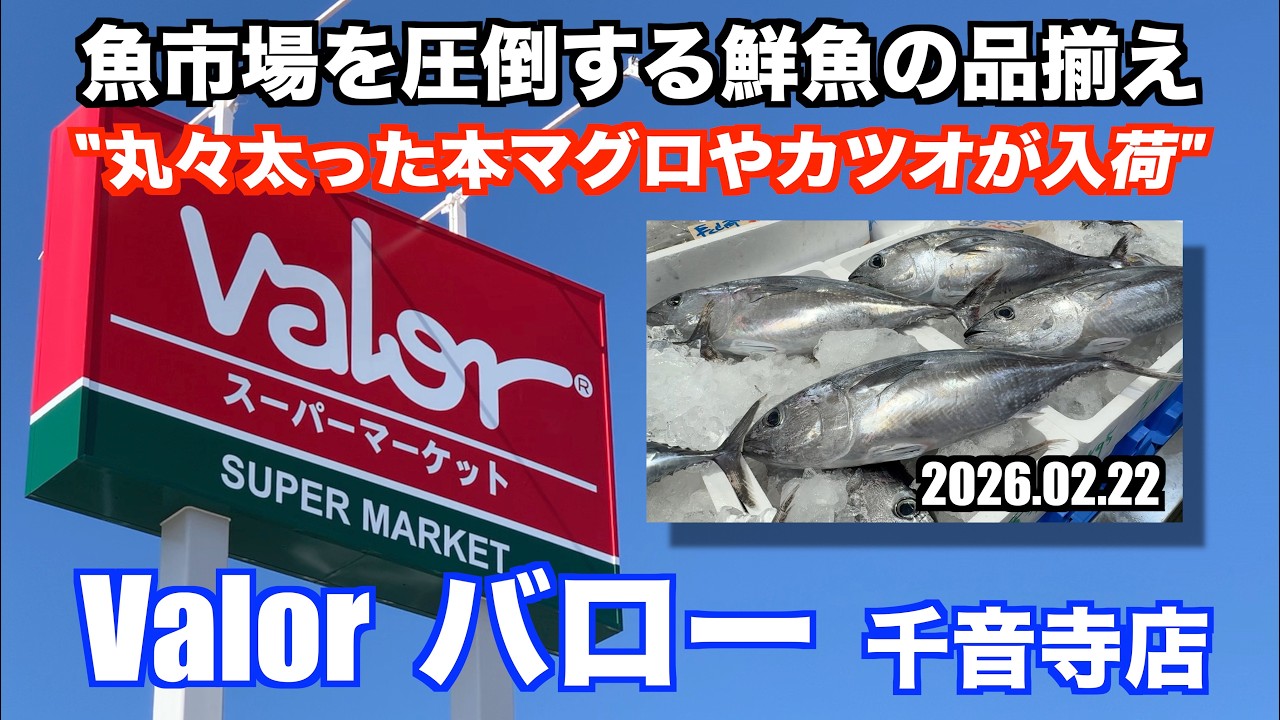 【Valor バロー 千音寺店 丸々太った本マグロやカツオが入荷 魚市場を圧倒する鮮魚の品揃え】あばお 海鮮ちゃんねる #452 2026.02.22
