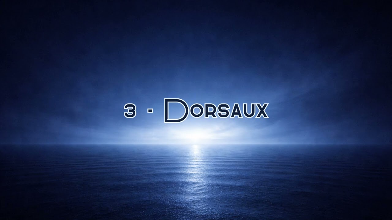 3 Odji - Dorsaux (Prod Nvtsy)