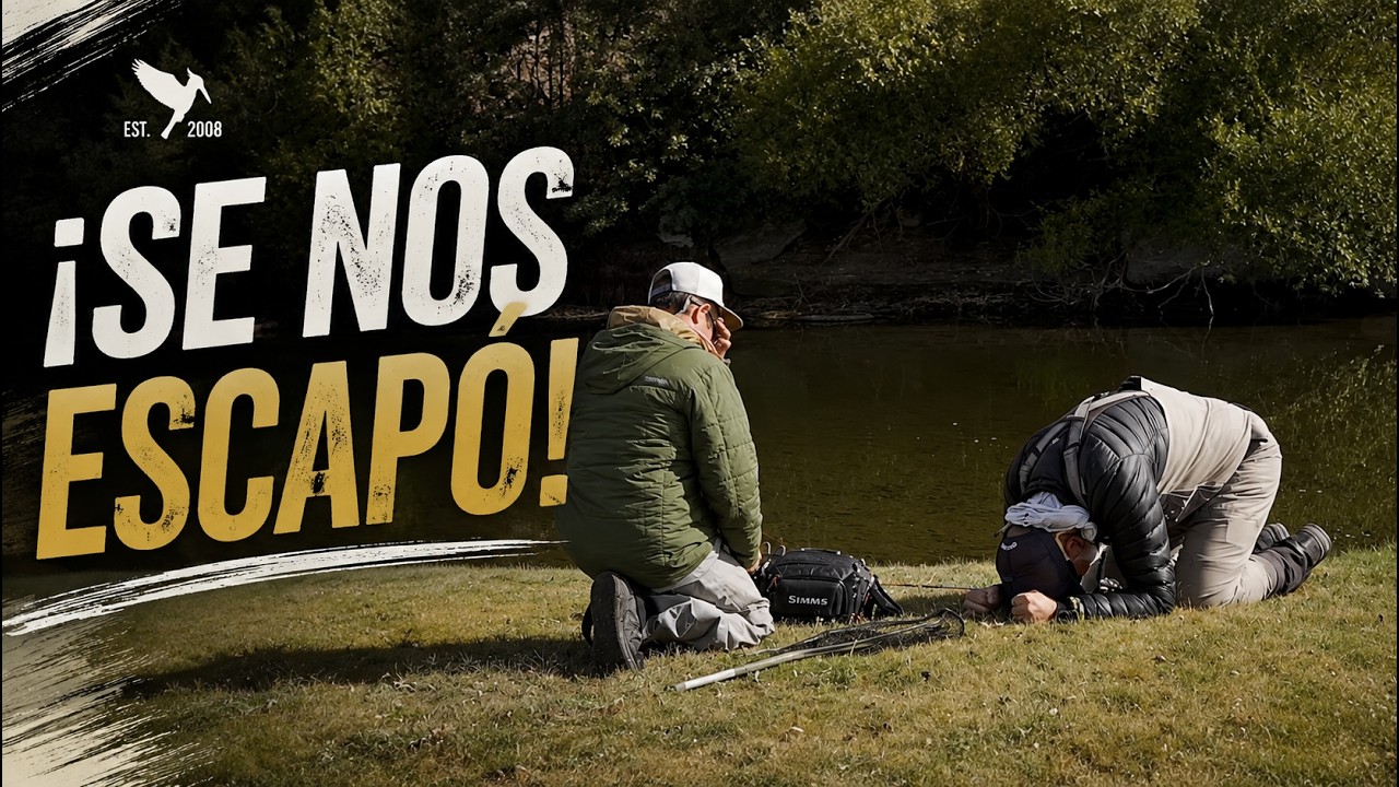 PESCA CON MOSCA EN BRAZO QUIETO RÍO COLLON CURA A PEZ VISTO AGUAS ARRIBA ESPN PATAGONIA ARGENTINA 