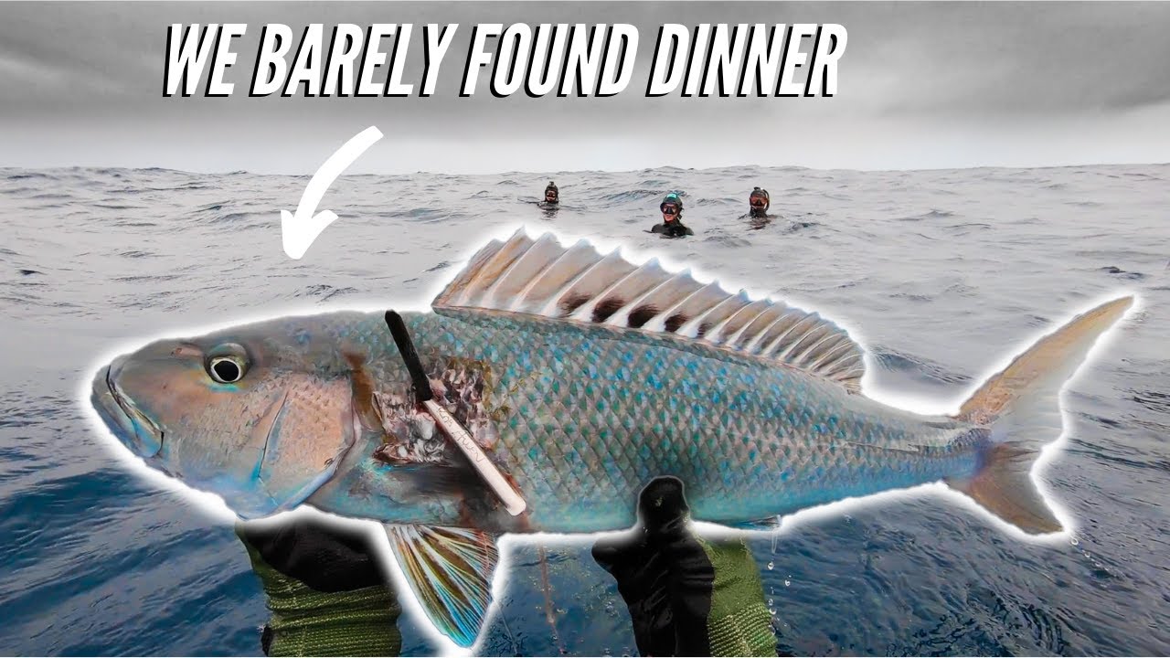 EPIC Fish Sandwiches on the BEACH!!! Spearfishing Hawaii (Catch and Cook)