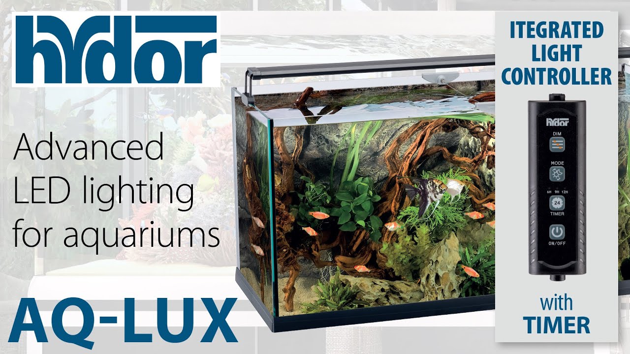 🌟 AQ LUX: The Perfect LED Lighting for Your Aquarium! 🐟💡