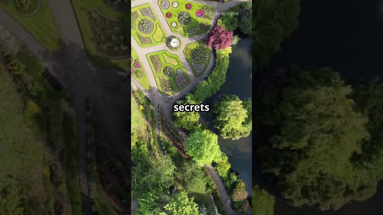 How to make a small beautiful garden