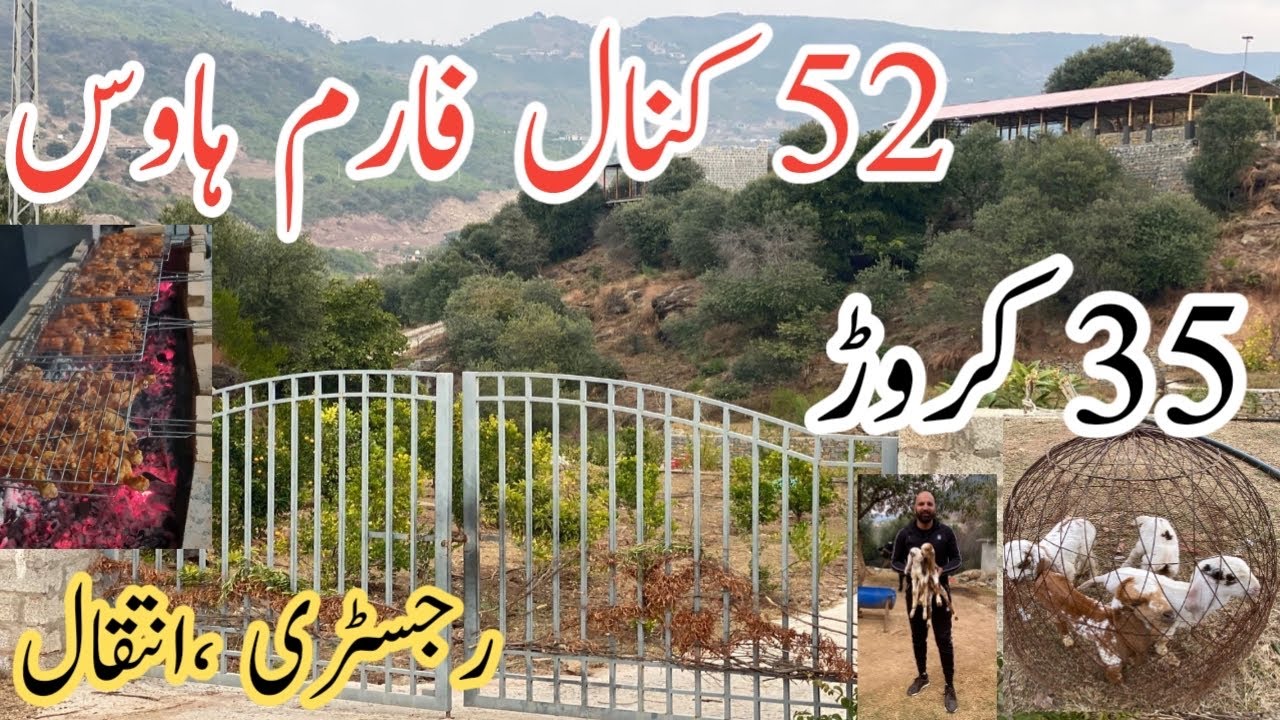 52کنال فارم ہاؤس 35 کروڑ1000 فٹ فرنٹ جس میں بکریاں گائیں باربی کیو  لا محدود کمرے فروٹس پودے  مرغیاں