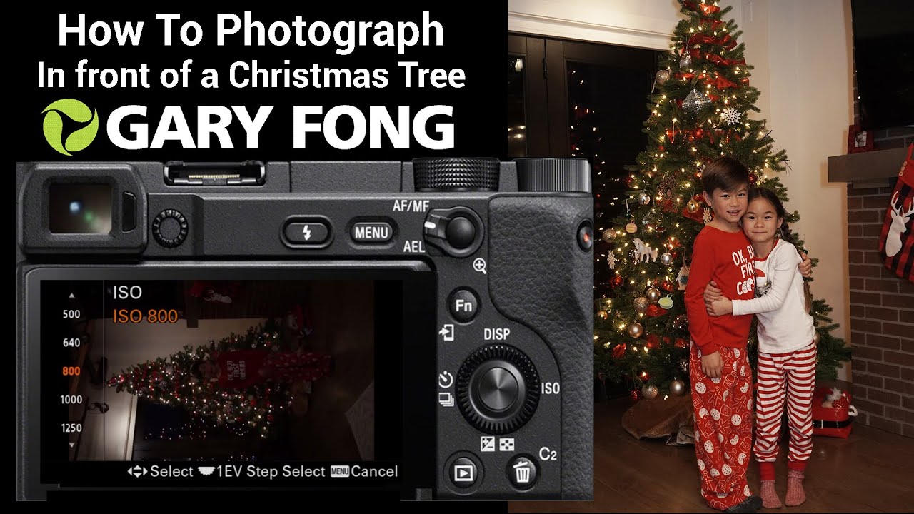 How To Take Photographs In Front Of A Christmas Tree
