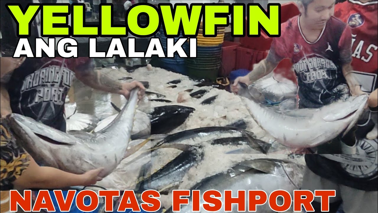 EPS 379 DAGSA ANG YELLOWFIN|NAVOTAS FISHPORT
