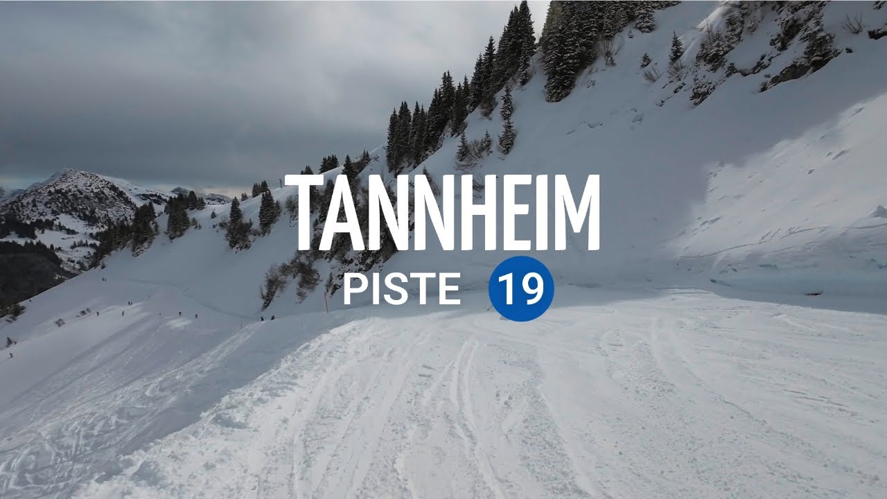 TANNHEIM PISTE 19 (NEUNERK&Ouml;PFLE) - PISTE CHECK