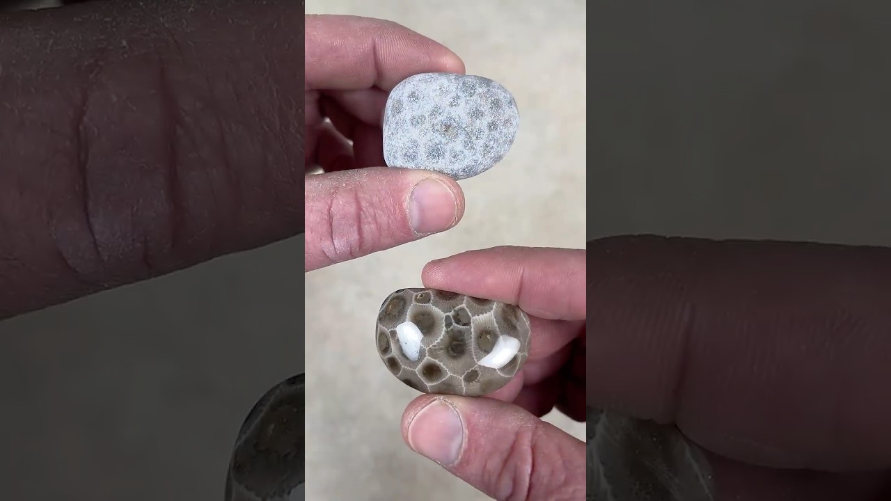Hand Polishing a Petoskey Stone