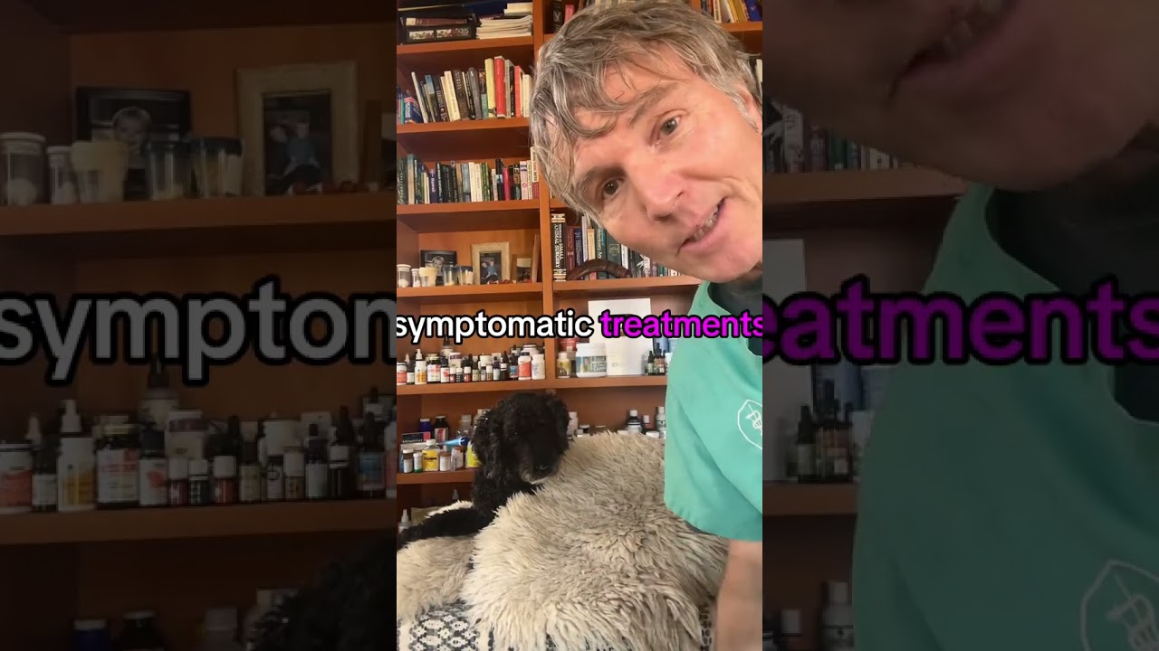 Coughing dog can be tracheal collapse- 3 effective home remedies!