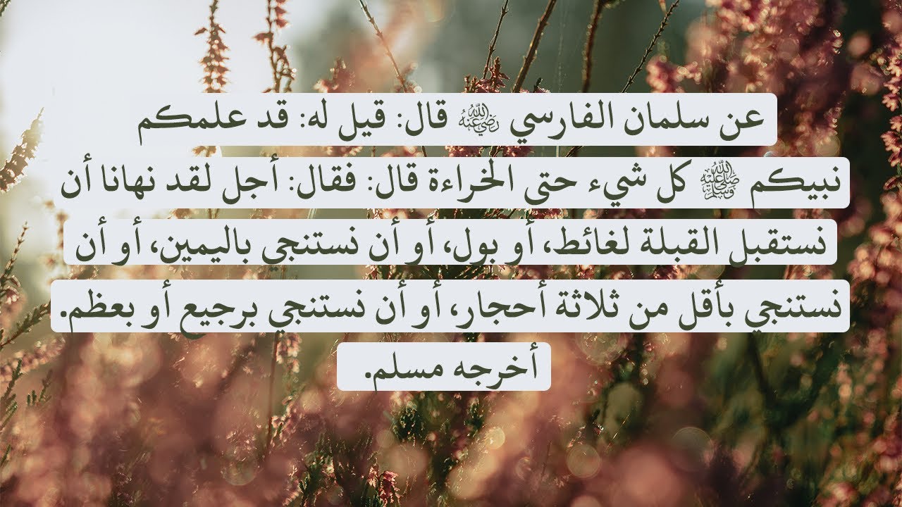 شرح حديث قد علمكم نبيكم ﷺ كل شيء حتى الخراءة - الشيخ : سليمان الرحيلي