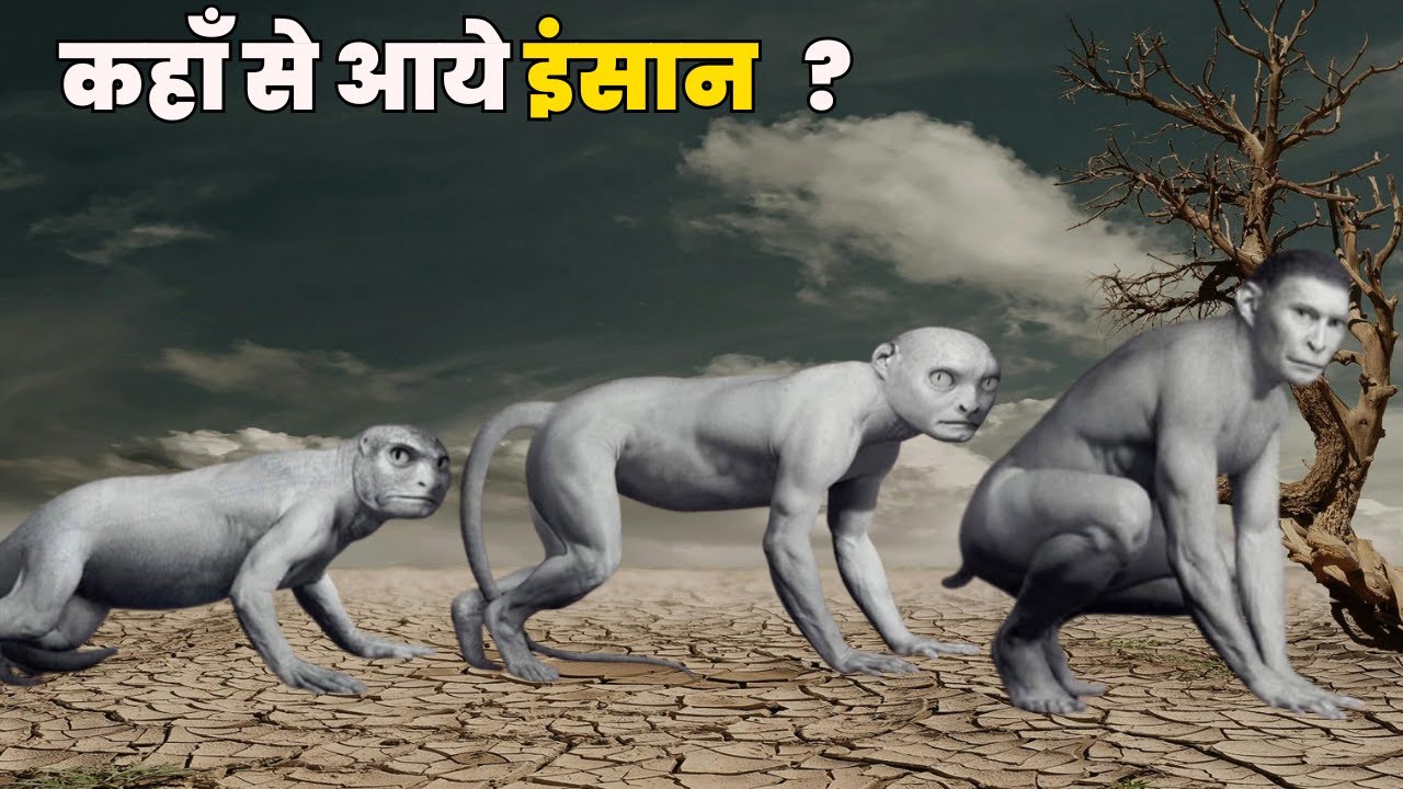 धरती पर जीवन की शुरुआत कैसे हुई , इंसान कब और कैसे पैदा हुए ? Story of evolution in hindi