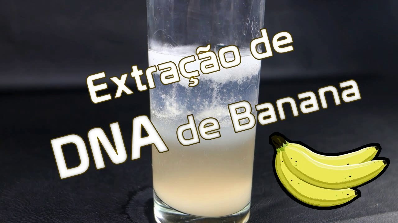 Ci&ecirc;ncia Experimental - ESTA&Ccedil;&Otilde;ES DE APTID&Atilde;O 2017