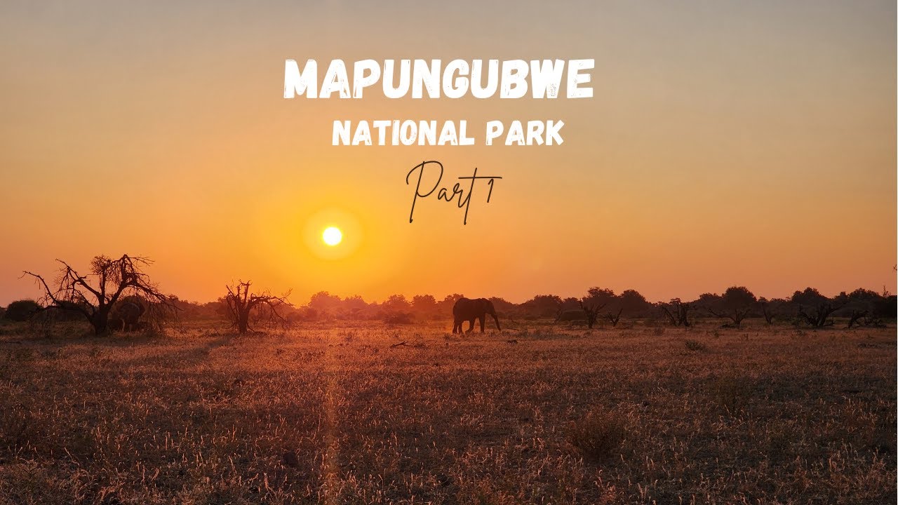 MAPUNGUBWE NATIONAL PARK | Part 1