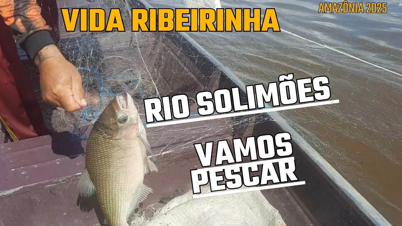 VIDA RIBEIRINHA RIO SOLIMÕES VAMOS PESCAR