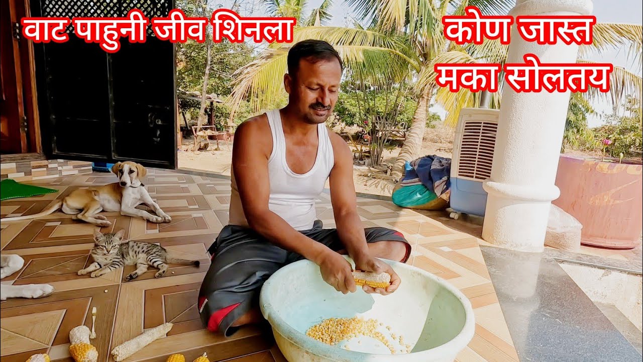 सूर्या आला तळपून गेला