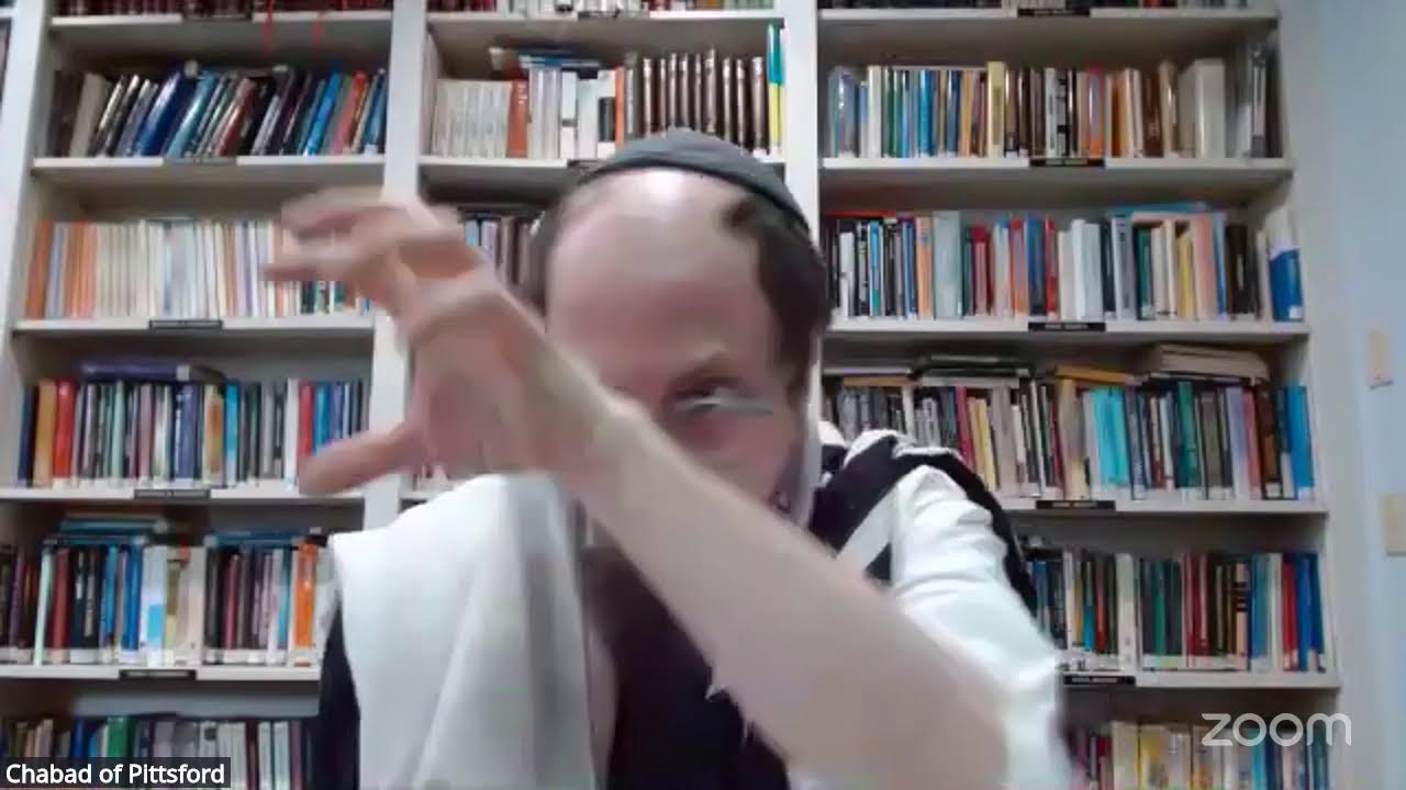 Daily Chumash Rashi Live with Rabbi Hein 2/23/26