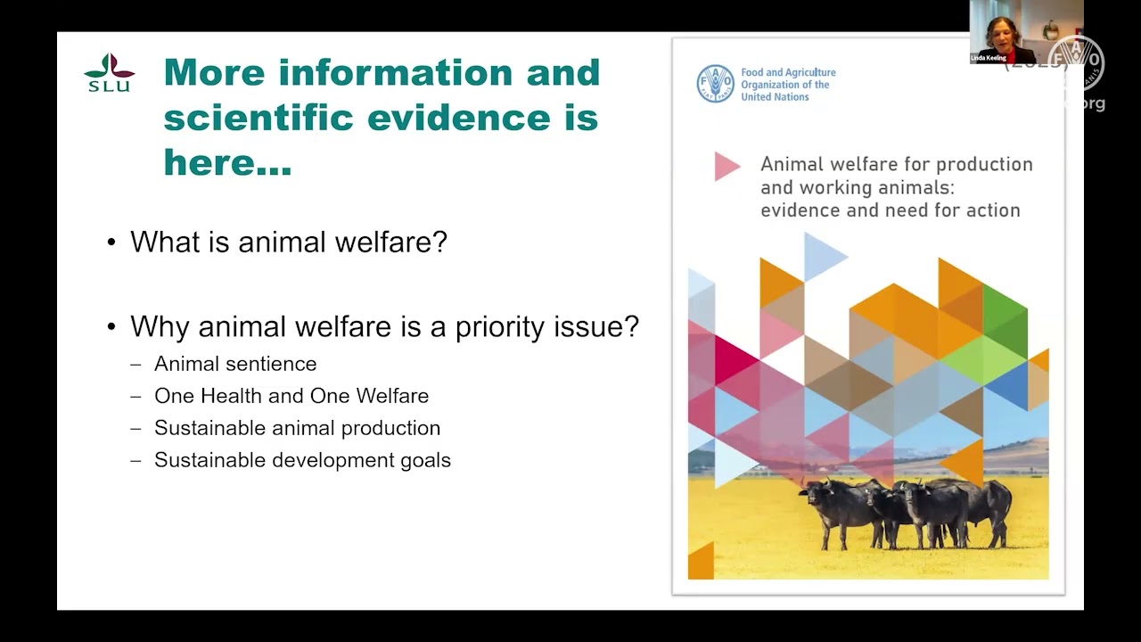 GASL Webinar - Animal welfare solutions for resilient agrifood systems.