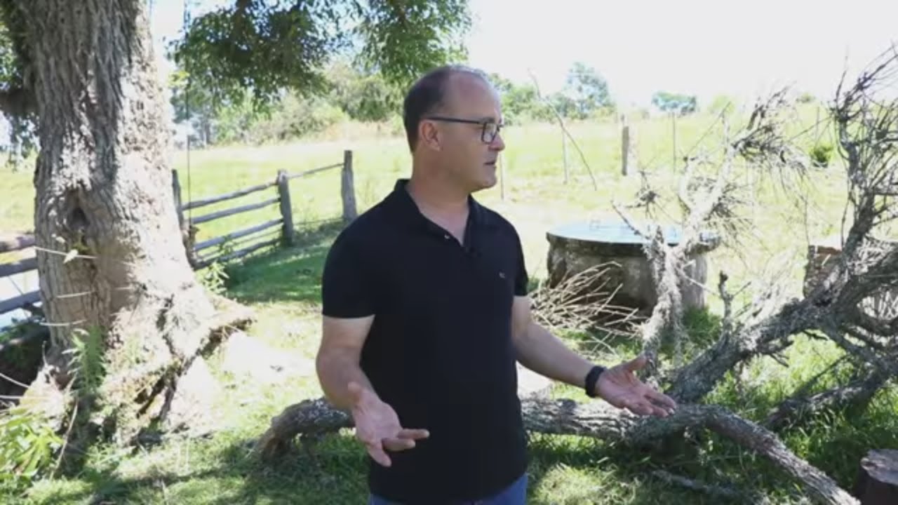 VOLTAMOS AO SÍTIO E ENCONTRAMOS O JARDIM ASSIM!!