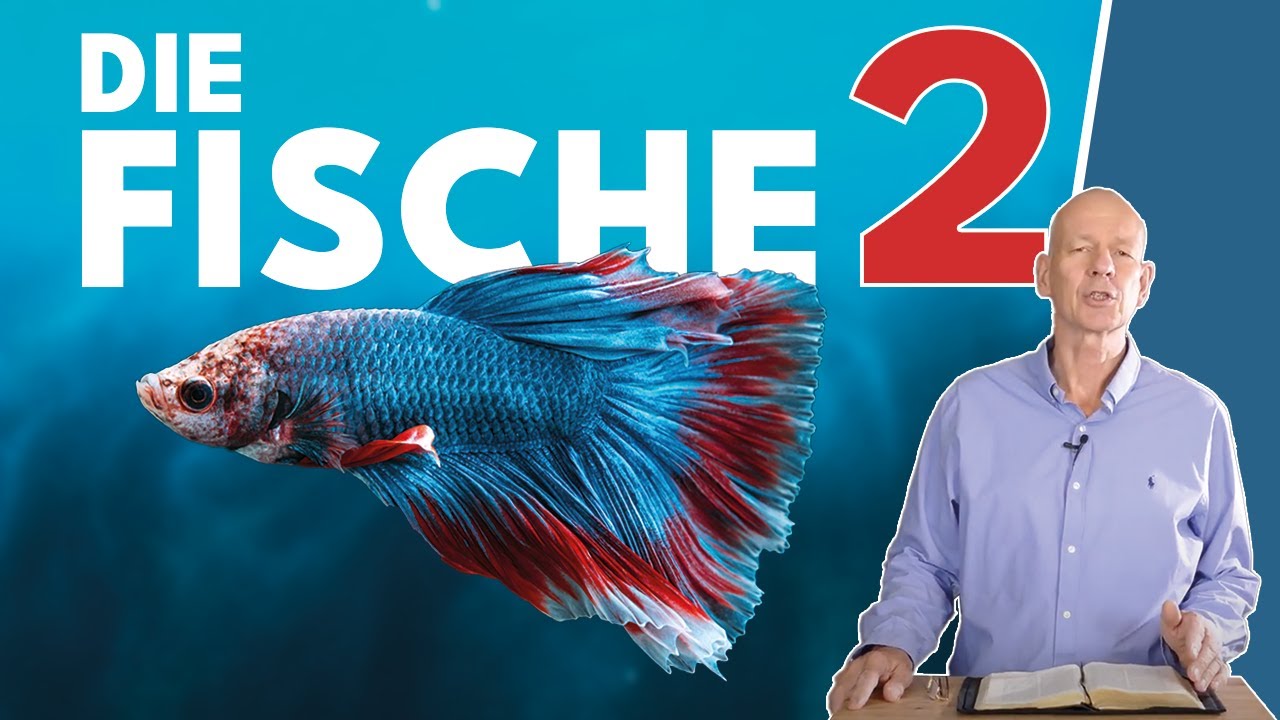 Die seltsamsten Fische der Weltgeschichte || Stefan Dr&uuml;eke