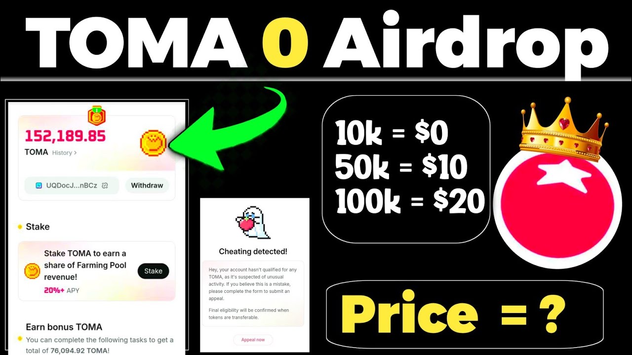 Tomarket Check Your Allocation tokers not received today how to check airdrop problem