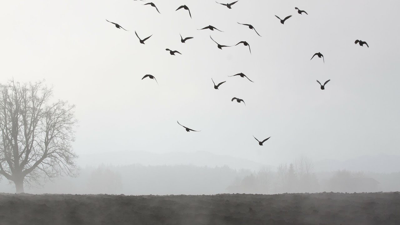 Pyhtään valtuuston kokous 11.11.2024