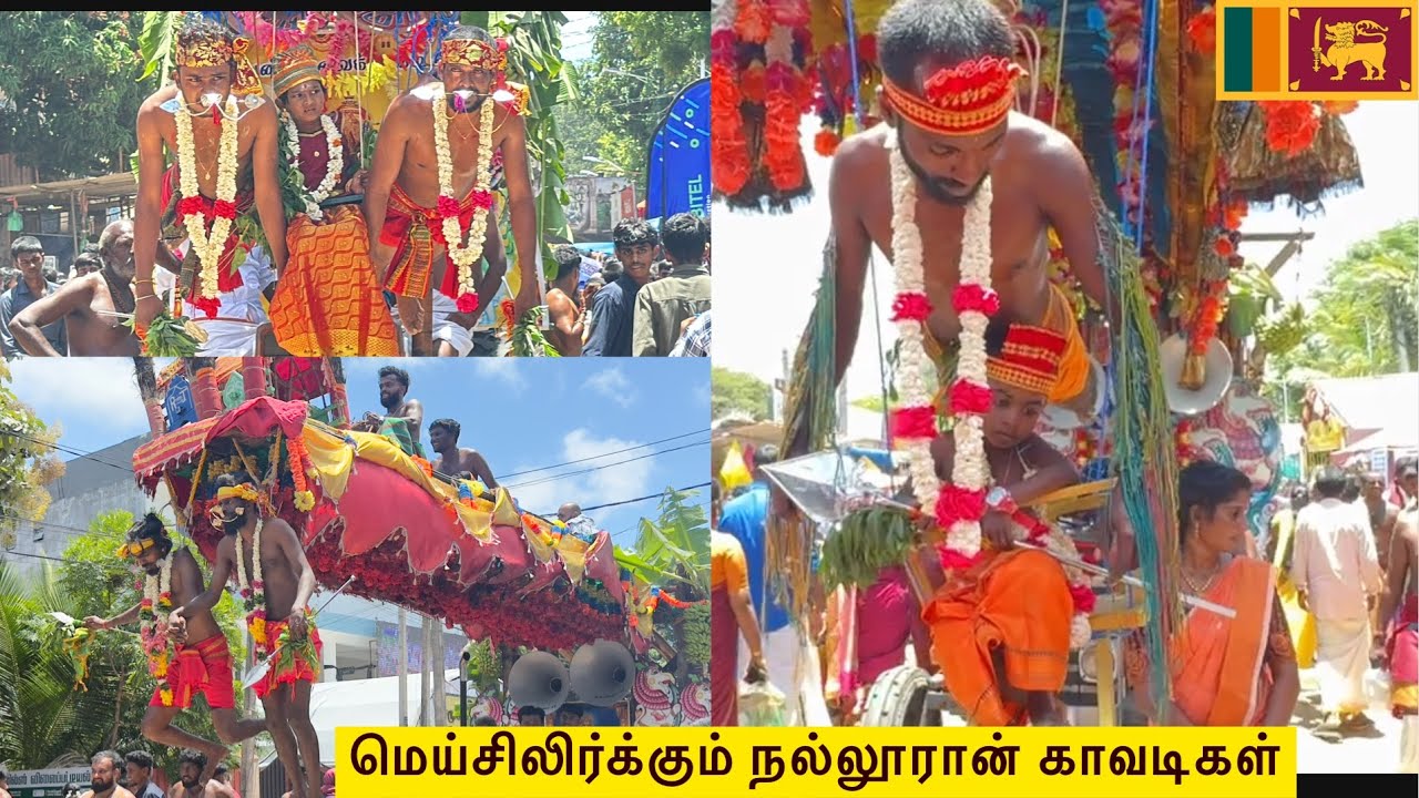 யாழ் நல்லூரில் குவிந்த வித விதமான நூற்றுக்கணக்கான காவடிகள் || நல்லூர் திருவிழா #jaffnatemple