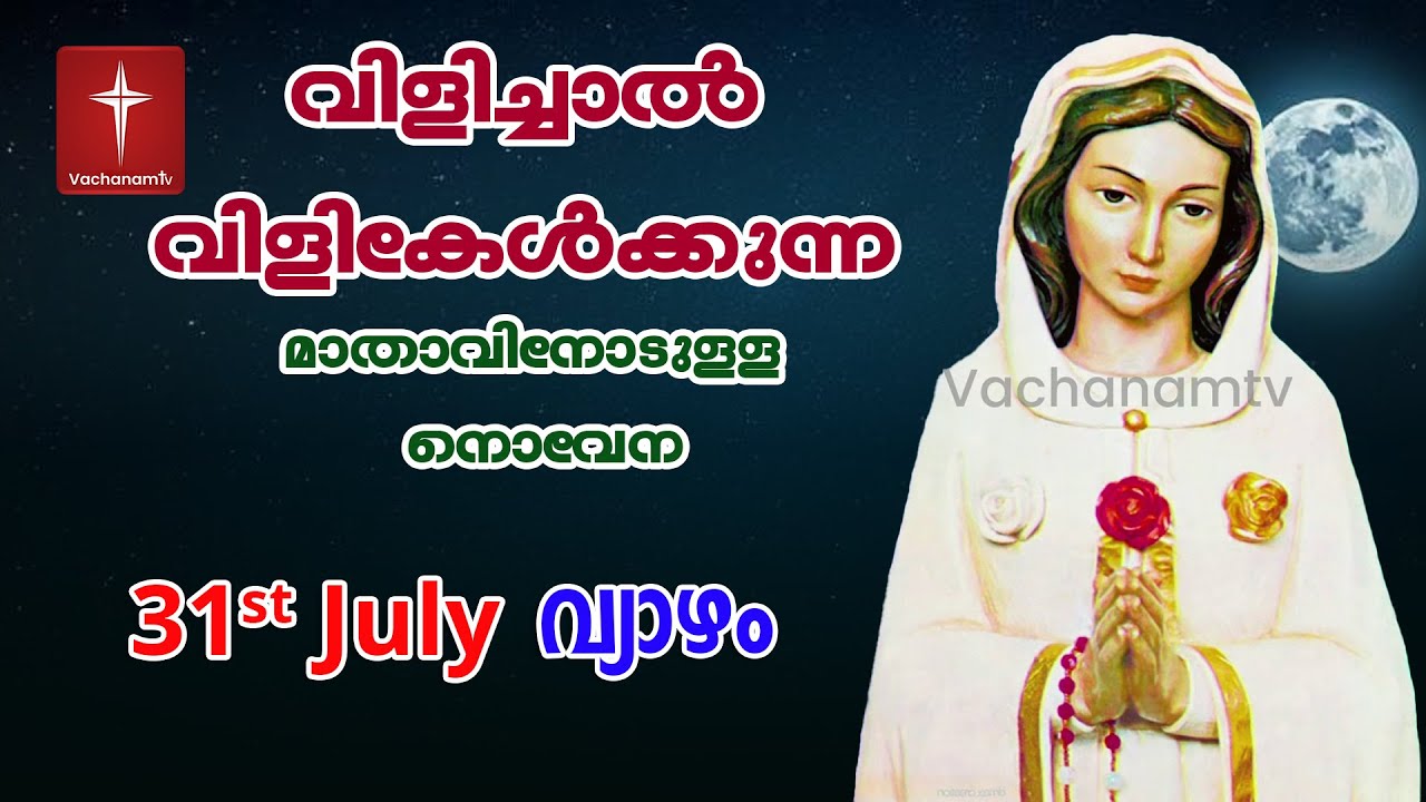 🔴 LIVE - July 31 2025 വിളിച്ചാൽ വിളി കേൾക്കുന്ന മാതാവിന്റെ നൊവേന 24x7 #live #prayer #novena