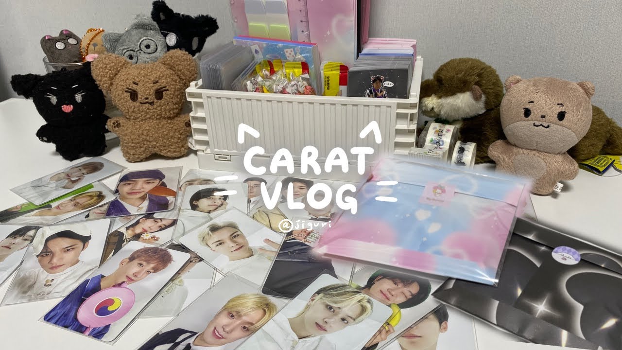 [캐럿로그] 네 총대 지구리입니다. 이런 XX !! 당장 포장하겠습니다 !! | 분철 총대 | 포카 포장 | 캐럿 브이로그