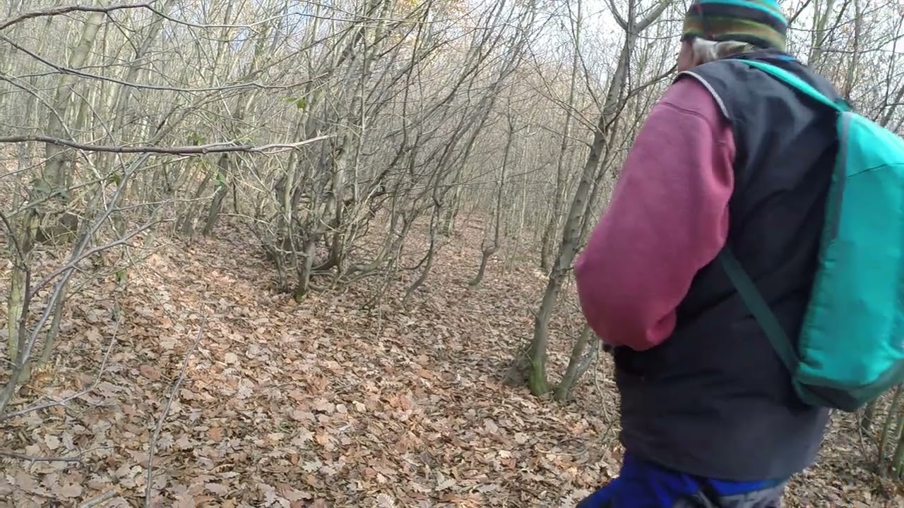 Eltévedés a Szarvasárok felső végén a kék+ felé.