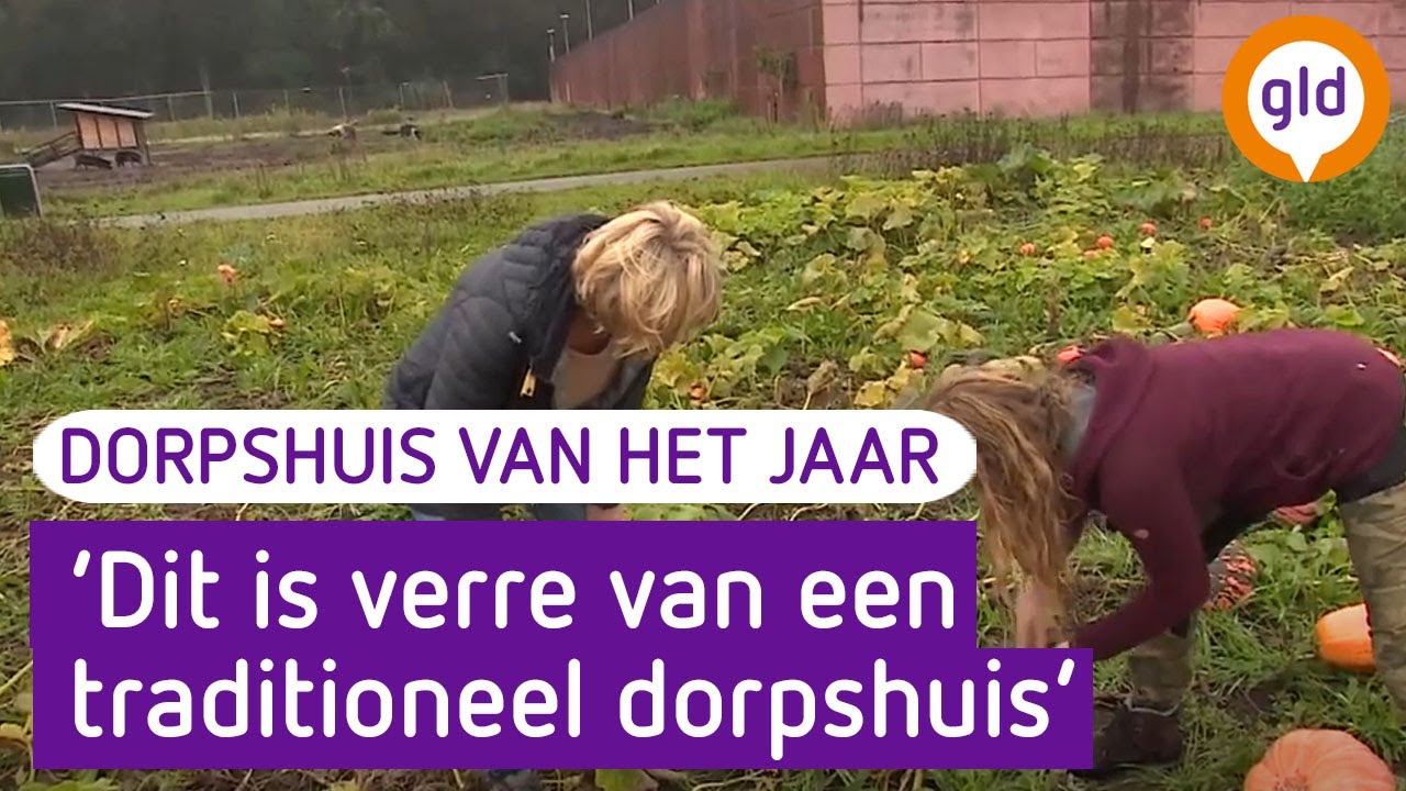 Dorpshuis van het jaar 1 november 2020 - Stadsboerin in Doetinchem
