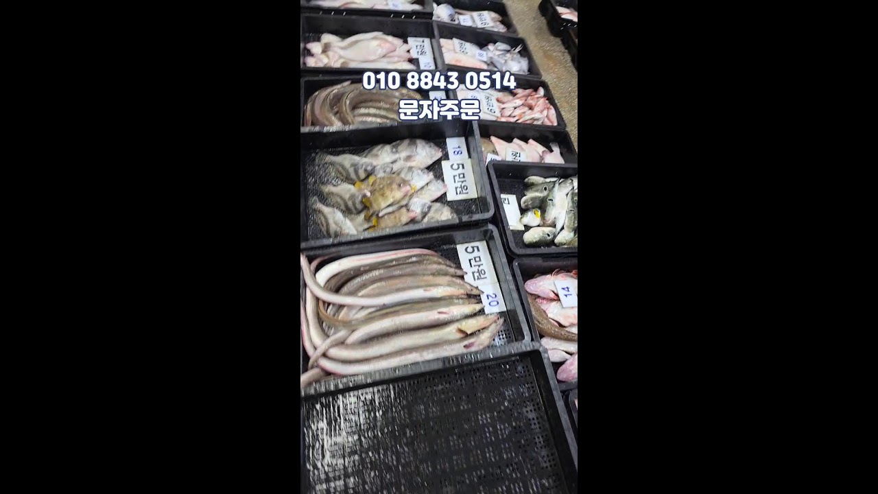 03/26  만해수산 어판장 실시간