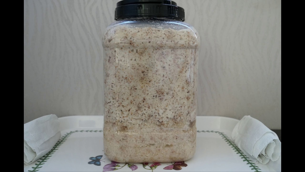 300배속(18시간) 3-1편 막걸리술 발효 타임 랩스 영상 300X Korean Rice Wine Brew Makgeolli Time laps