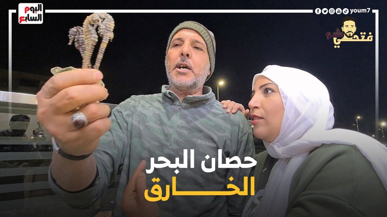 الكيلو بـ 80 ألف جنيه فى السويس.. الذكر الوحيد في العالم اللي بيولد