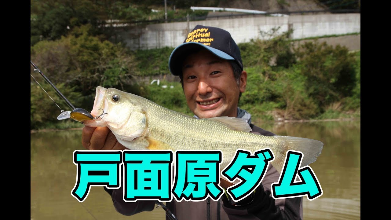 【茂手木祥吾】戸面原ダムで見せる秋のルアーローテ