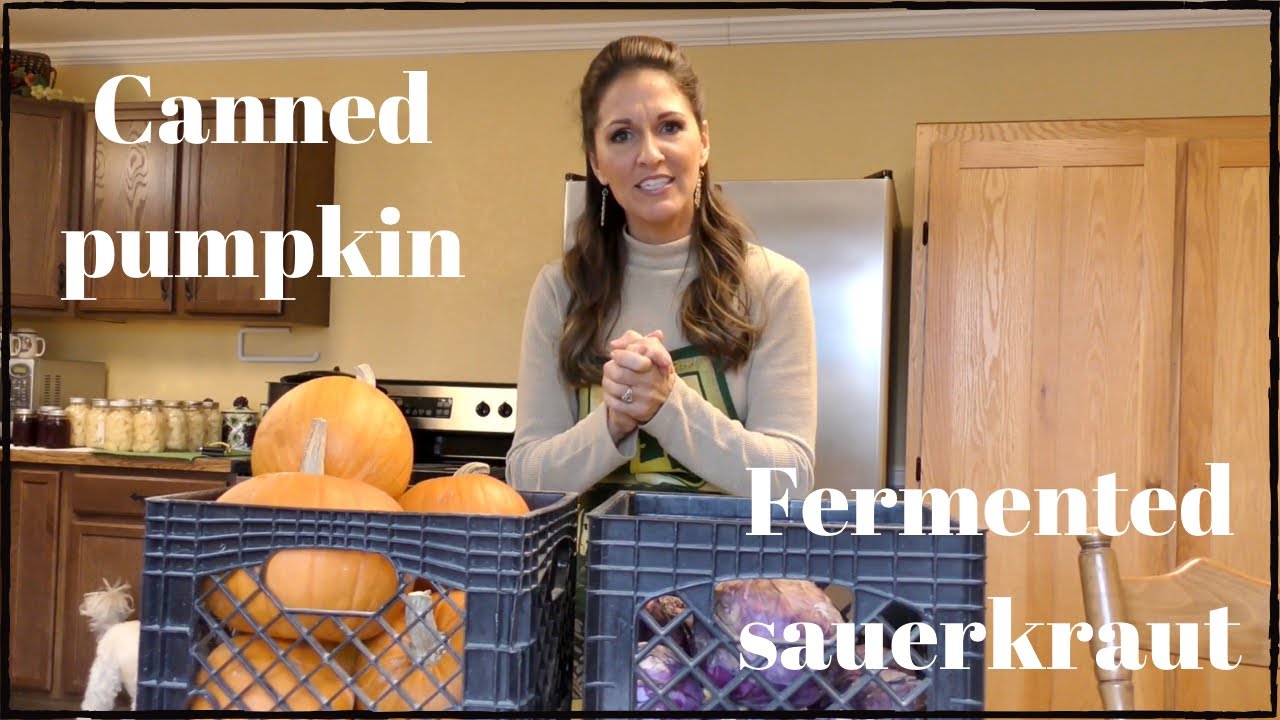 CANNED PUMPKIN/FERMENTED SAUERKRAUT/AND A WHOLESOME MEAL!